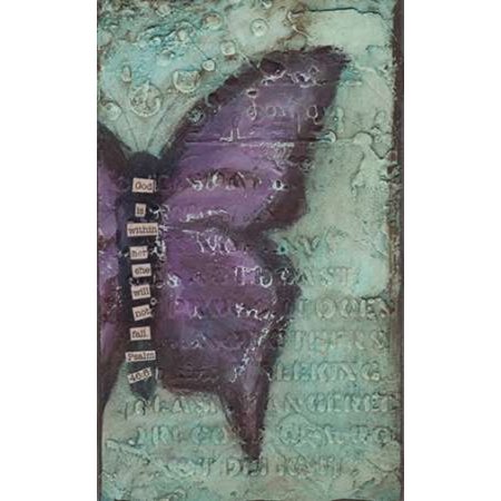 Butterfly IV Canvas Art - Cassandra Cushman (24 x 36)