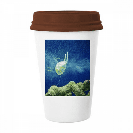 Ocean Jellyfish Science Nature Picture Mug Coffee Drinking Glass Pottery Cerac Cup Lid
Ocean Jellyfish Science Nature Picture Mug Coffee Drinking Glass Pottery Cerac Cup Lid