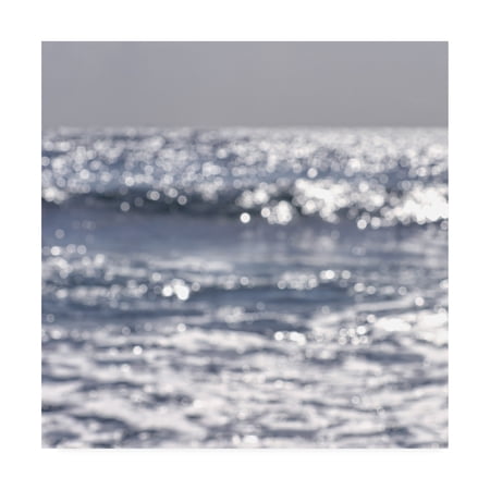 Trademark Fine Art 'BC Magic be the sea' Canvas Art by Beata Czyzowska Young