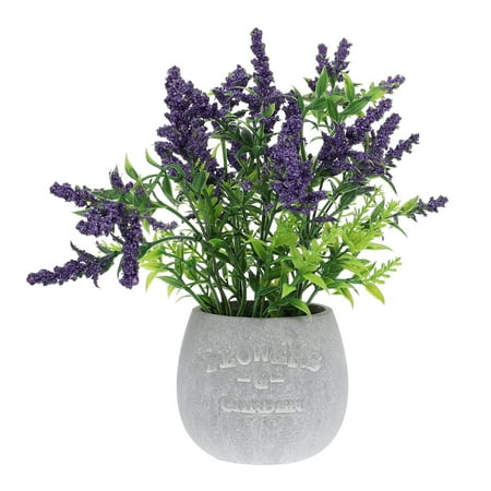 Hemoton 1Pc Home Decoration Simulation Lavender Potted Ornament for Desktop (Purple)
Hemoton 1Pc Home Decoration Simulation Lavender Potted Ornament for Desktop (Purple)