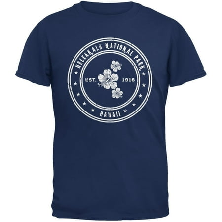 Haleakala National Park Metro Blue Adult T-Shirt