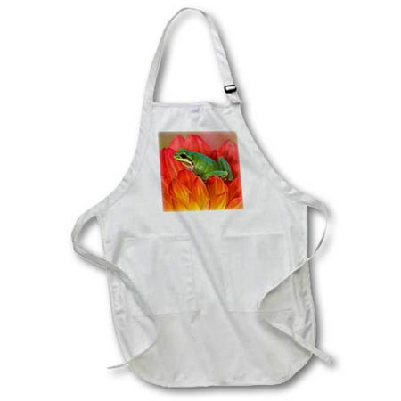3dRose Pacific tree frog Sammamish Washington - US48 DGU0151 - Darrell Gulin Medium Length Apron 22 by 24-inch With Pouch Pockets
3dRose Pacific tree frog Sammamish Washington - US48 DGU0151 - Darrell Gulin Medium Length Apron 22 by 24-inch With Pouch Pockets