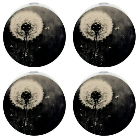 Night Light Plug into Wall for Kids & Adults,Black and White Plant Floral Sensor Small Dusk to Dawn Night Light for Room Bedroom Bathroom Hallway Kitchen
Night Light Plug into Wall for Kids & Adults,Black and White Plant Floral Sensor Small Dusk to Dawn Night Light for Room Bedroom Bathroom Hallway Kitchen