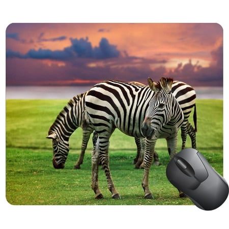 POPCreation zebra standing in green grass field Mouse pads Gaming Mouse Pad 9.84x7.87 inches
POPCreation zebra standing in green grass field Mouse pads Gaming Mouse Pad 9.84x7.87 inches