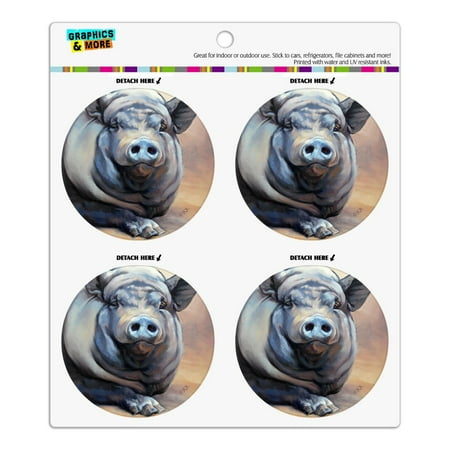 Big Large Happy Pig Hog Refrigerator Fridge Locker Vinyl Circle Magnet Set