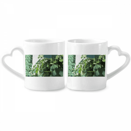 

Lotus Lake Pool Art Deco Fashion Couple Porcelain Mug Set Cerac Lover Cup Heart Handle