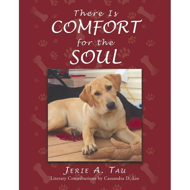 There Is Comfort for the Soul (Paperback)