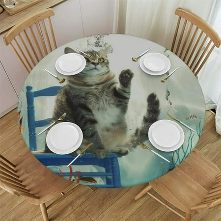 Patifu Cute Cat Round Table Cover Stain Resistant & Washable Perfect for Indoor and Outdoor Dining Wedding Parties - 100% Polyester Waterproof Tablecloth 54 -58
Patifu Cute Cat Round Table Cover Stain Resistant & Washable Perfect for Indoor and Outdoor Dining Wedding Parties - 100% Polyester Waterproof Tablecloth 54 -58