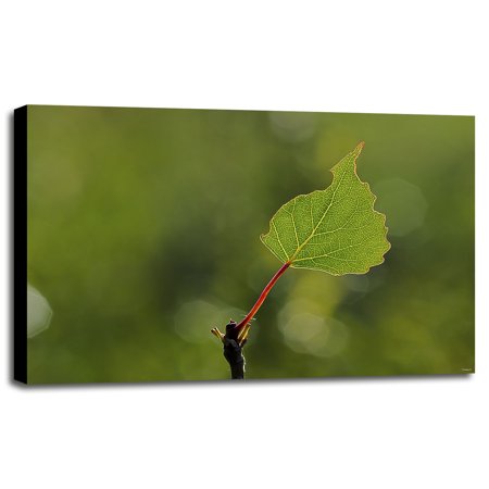 605 HDRT-GORSEM119308 Print 20.5"x30.75" by Gordon Semmens in a Canvas Stretched in Maple Frame