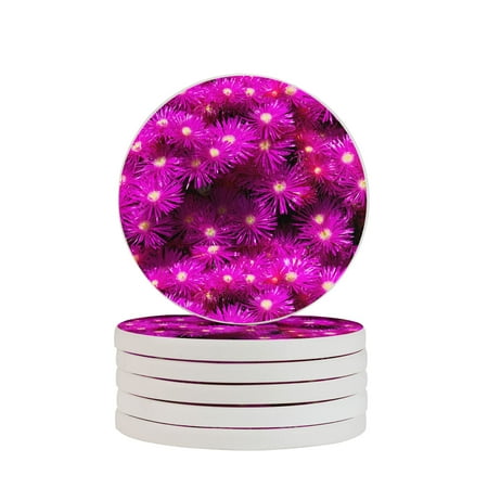 Circular Drink Coasters Set Purple Flower Background Beautiful Home Decor Diatomite Heat-Resistant Diatomite Protect Table Countertop
Circular Drink Coasters Set Purple Flower Background Beautiful Home Decor Diatomite Heat-Resistant Diatomite Protect Table Countertop