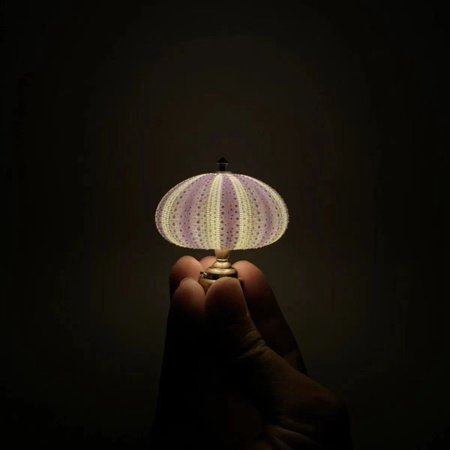 Night Lights for Kids Boys Room Decorations for Bedroom Sea Urchin Night Light Funny Beach Theme Night Light Animal Night Light Creative Bedside Lamp Models Mini Retro Sea Urchin Night Light
Night Lights for Kids Boys Room Decorations for Bedroom Sea Urchin Night Light Funny Beach Theme Night Light Animal Night Light Creative Bedside Lamp Models Mini Retro Sea Urchin Night Light