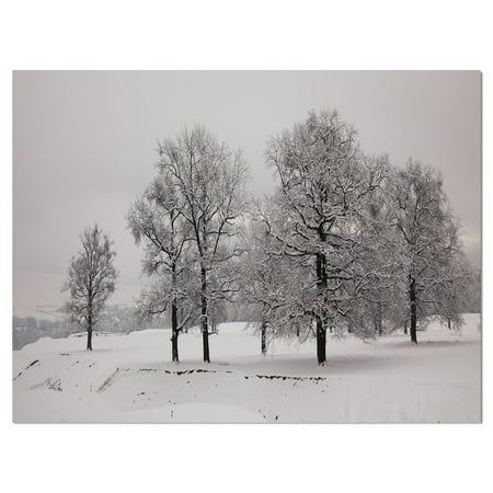 DESIGN ART Designart 'Oaks covered with snow in the countryside' Landscapes Photography on wrapped canvas - White