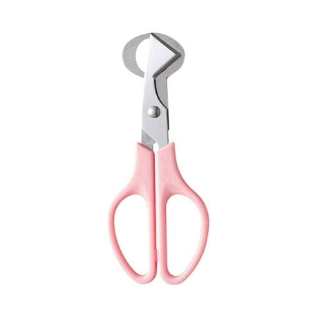 Haykey Stainless Steel Quail Scissors Bird Cutter Quail Cutter Kitchen Scissors
Haykey Stainless Steel Quail Scissors Bird Cutter Quail Cutter Kitchen Scissors