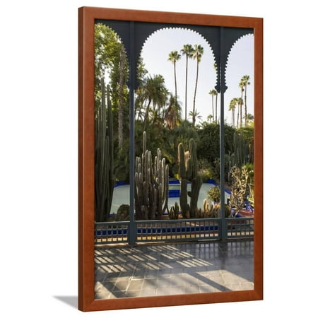 Jardin Majorelle, Owned by Yves St. Laurent, Marrakech, Morocco, North Africa, Africa Framed Print Wall Art By Stephen Studd