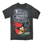 Angry Birds Little Boys Grey "Birds Above And Beyond" Print T-Shirt 2-4T