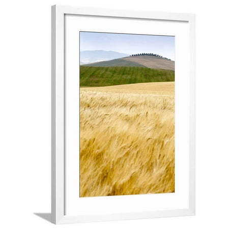 Val D'Orcia, Tuscany, Italy. Yellow Meadow and Green Hills Framed Print Wall Art By Francesco Riccardo Iacomino