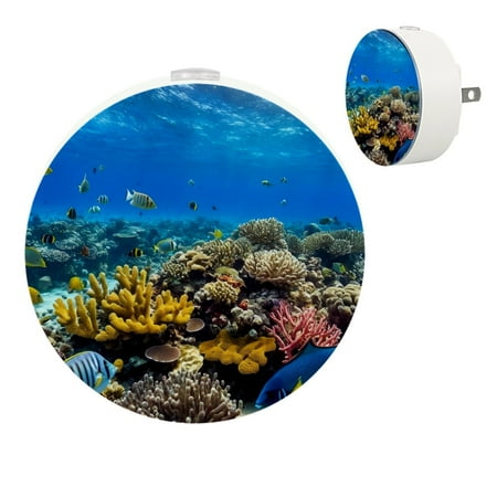 YZUOUZY Night Lights Plug into Wall Small Lamp Small Bedside Lamps Set of 2 Underwater World Tropical Fish Corals
YZUOUZY Night Lights Plug into Wall Small Lamp Small Bedside Lamps Set of 2 Underwater World Tropical Fish Corals