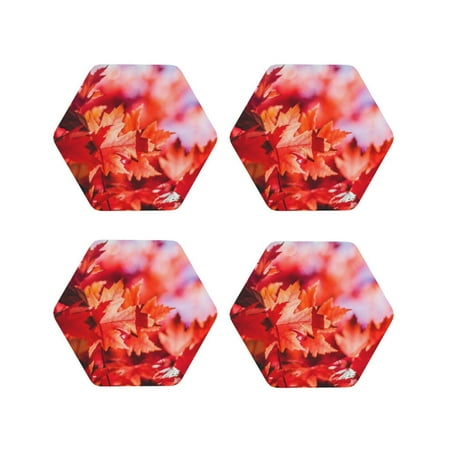 Drink Coasters Set of 4 Autumn Maple Leaves Leather Coasters for Coffee Table Protector Heat Resistant Cute Coasters for Home Decor Housewarming Gifts Bar Kitchen 4 Inch Hexagon
Drink Coasters Set of 4 Autumn Maple Leaves Leather Coasters for Coffee Table Protector Heat Resistant Cute Coasters for Home Decor Housewarming Gifts Bar Kitchen 4 Inch Hexagon