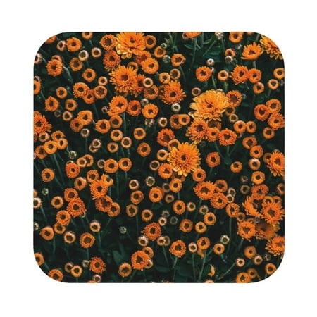 Bingfone Daisies Personalized Coaster Set 4 For Drinks Coffee Table Bar Beer Wine Cup Coasters 4 Inch
Bingfone Daisies Personalized Coaster Set 4 For Drinks Coffee Table Bar Beer Wine Cup Coasters 4 Inch