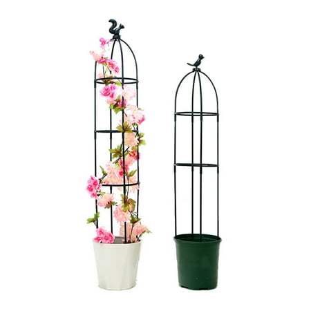 Giyblacko Rattan ClipEuropean Style Climbing Frame Gardening Greenery Bracket Vine Climbing Support Pole
Giyblacko Rattan ClipEuropean Style Climbing Frame Gardening Greenery Bracket Vine Climbing Support Pole