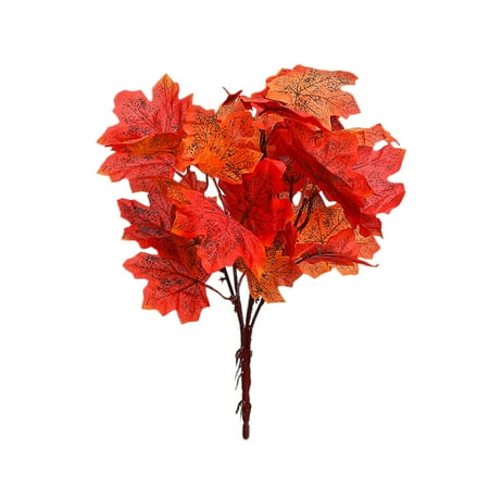 Garden Gadgets for The Elderly & Thanksgiving | Autumn Maple Leaf Bundle | Home Branches | Fall Themed Insertions For Festive Displays
Garden Gadgets for The Elderly & Thanksgiving | Autumn Maple Leaf Bundle | Home Branches | Fall Themed Insertions For Festive Displays
