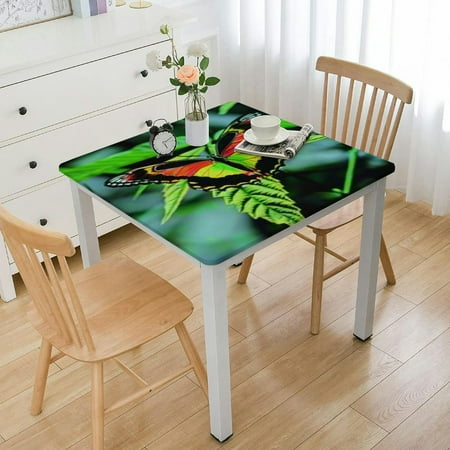 Waterproof Picnic Party Square Table Cloth Cover Decorations Square Tablecloth for Home Dining Room Kitchen Decor Green leaf colorful butterfly Prints
Waterproof Picnic Party Square Table Cloth Cover Decorations Square Tablecloth for Home Dining Room Kitchen Decor Green leaf colorful butterfly Prints
