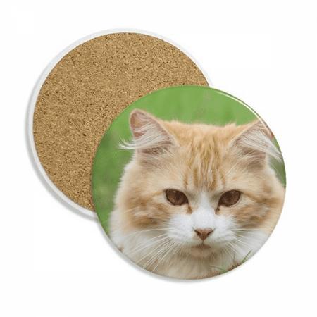 Yellow Stripes Cat Stare Pet Animal Coaster Cup Mug Tabletop Protection Absorbent Stone
Yellow Stripes Cat Stare Pet Animal Coaster Cup Mug Tabletop Protection Absorbent Stone