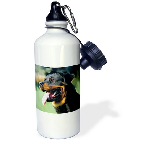 Rottweiler 21 oz Sports Water Bottle wb-4378-1