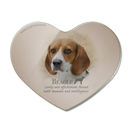 Beagle Dog Breed Heart Acrylic Fridge Refrigerator Magnet