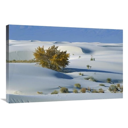 24 x 36 in. Fremont Cottonwood & Gypsum Dunes, White Sands Nm, New Mexcio Art Print - Konrad Wothe