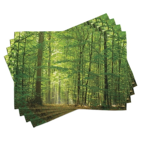 Woodland Placemats Set of 4 Deciduous Forest Trees in Summertime Foliage Sun Rays Romantic Holidays Scenic Image Washable Fabric Place Mats for Dining Room Kitchen Table Decor Green by Ambesonne
Woodland Placemats Set of 4 Deciduous Forest Trees in Summertime Foliage Sun Rays Romantic Holidays Scenic Image Washable Fabric Place Mats for Dining Room Kitchen Table Decor Green by Ambesonne