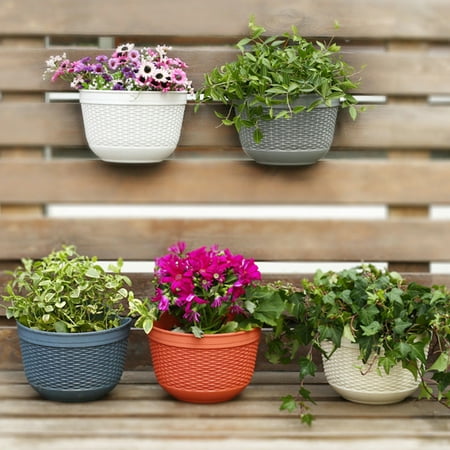 Mqlnutr Flowerpot Fade-less Fall-resistant Ornamental Drain Hole Eco-friendly Plant Pot Plant Accessories
Mqlnutr Flowerpot Fade-less Fall-resistant Ornamental Drain Hole Eco-friendly Plant Pot Plant Accessories