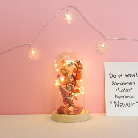 Ovzne Leaf Branch With Lamp Glass Cover Night Light Valentine s Day Home Decoration Clearance
Ovzne Leaf Branch With Lamp Glass Cover Night Light Valentine s Day Home Decoration Clearance