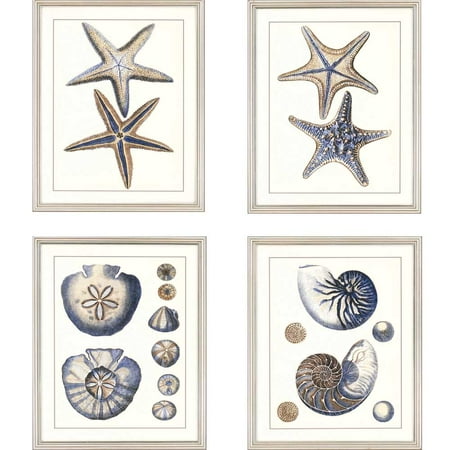 Paragon Naturals Coastal Sea Life Pack of 4 Wall Art 4755