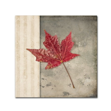 Trademark Fine Art 'Lodge Leaf 1' Canvas Art by LightBoxJournal