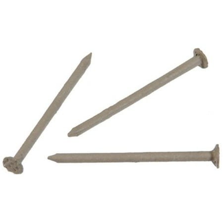 Hillman Fasteners 461822 6 oz. Clay Stainless Steel Nails