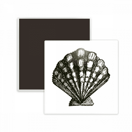 Scallop Marine Life Black Illustration Square Ceracs Fridge Magnet Keepsake Memento
Scallop Marine Life Black Illustration Square Ceracs Fridge Magnet Keepsake Memento