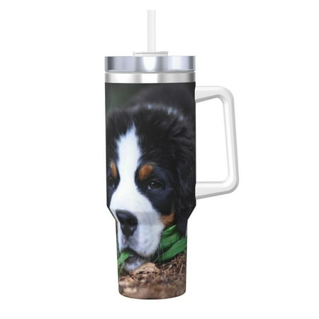 Lovely Bernese Mountain Dog 40oz Car Insulated Cups Ice Bully Cup with Handle Double Stainless Steel Vacuum Tumblers Water Bottle with Lid and Straw
Lovely Bernese Mountain Dog 40oz Car Insulated Cups Ice Bully Cup with Handle Double Stainless Steel Vacuum Tumblers Water Bottle with Lid and Straw