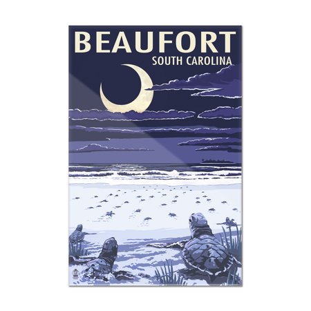 Beaufort, South Carolina - Sea Turtles Hatching - Lantern Press Poster (24x36 Acrylic Wall Art Gallery Quality)