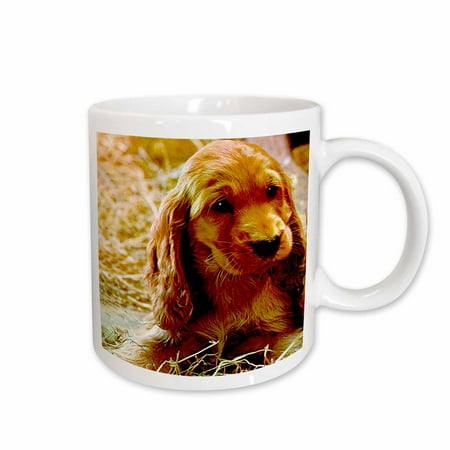 3dRose Irish Setter Puppy Ceramic Mug 11-ounce