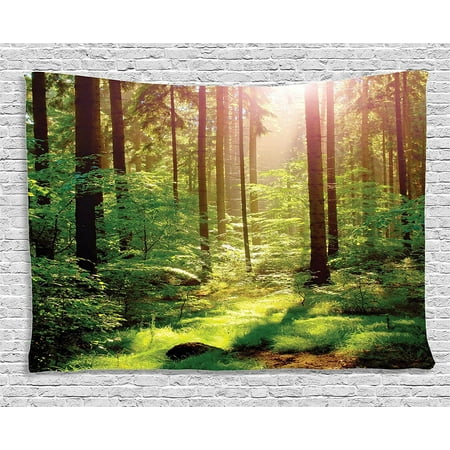 Green Tapestry Nature Decor by , Forest Spring Time Sunset Moss Woods Leaf Wilderness Fantasy Magical View, Bedroom Living Room Dorm Art Wall Hanging, 60.., By Ambesonne