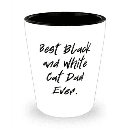 Useful Black and White Cat Shot Glass Best Black and For Cat Lovers Present From Friends Ceramic Cup For Black and White Cat
Useful Black and White Cat Shot Glass Best Black and For Cat Lovers Present From Friends Ceramic Cup For Black and White Cat
