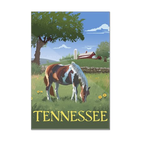 Tennsesse - Horse in Field - Lantern Press Poster (24x36 Acrylic Wall Art Gallery Quality)