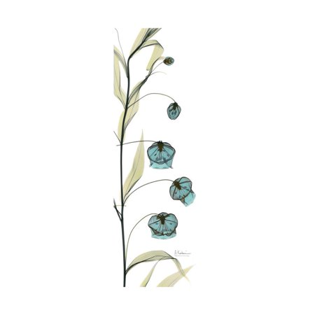 Sandersonia Tower Print Wall Art By Albert Koetsier