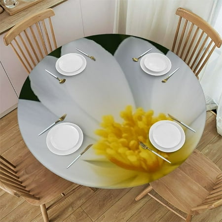 White Tulips Flower Print Stretch Table Covers Elastic Edged Round Fitted Table Tablecloth Protector for Banquet
White Tulips Flower Print Stretch Table Covers Elastic Edged Round Fitted Table Tablecloth Protector for Banquet