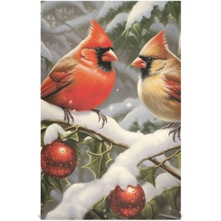 Anyway.go Bird Kitchen Towels Soft Absorbent Quick Drying Hand Towel Tea Towels and Table Decoration Towels 28 x 18 Inch 1Pack
Anyway.go Bird Kitchen Towels Soft Absorbent Quick Drying Hand Towel Tea Towels and Table Decoration Towels 28 x 18 Inch 1Pack