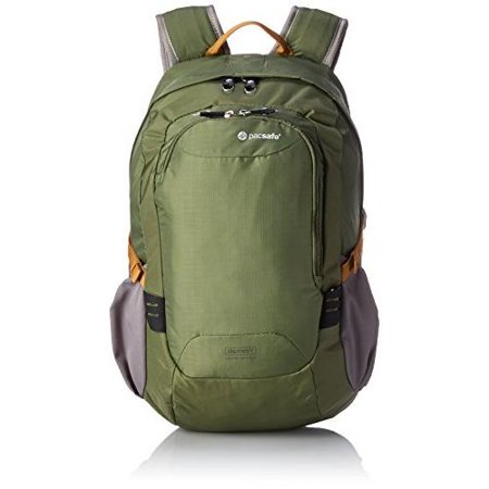 UPC 688334014766 product image for Pacsafe Luggage Venture Safe 25L GII | upcitemdb.com