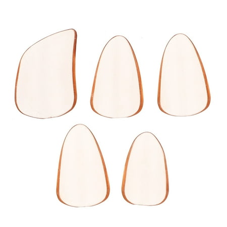 5Pcs Professional PC Pipa Nails String Instrument Parts Pipa Accessories (Orange)
5Pcs Professional PC Pipa Nails String Instrument Parts Pipa Accessories (Orange)