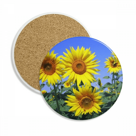 Sunshine Flowers Sunflowers Blue Sky Coaster Cup Mug Tabletop Protection Absorbent Stone
Sunshine Flowers Sunflowers Blue Sky Coaster Cup Mug Tabletop Protection Absorbent Stone