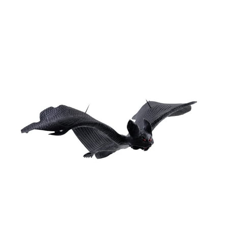 VerPetridure Halloween Animal Hanging Parts Simulation Bat Toys Real Animal Bat Pendant
VerPetridure Halloween Animal Hanging Parts Simulation Bat Toys Real Animal Bat Pendant